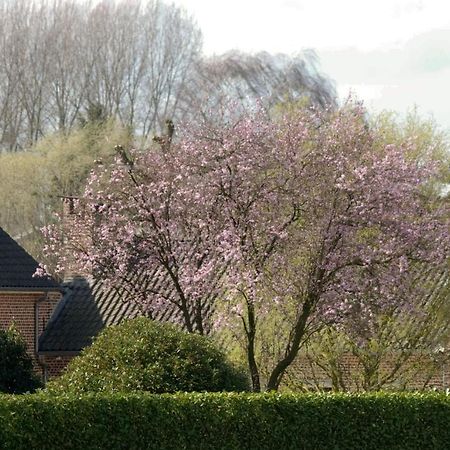 Herne De Rankhove B&B 외부 사진